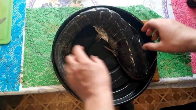 ЧУДО-ЮДО РЫБА СОМ  ЗАПЕЧЕННЫЙ В  ДУХОВКЕ/SUPER CATFISH BAKED IN THE OVEN