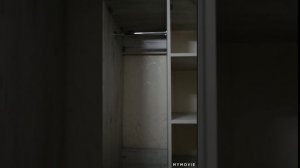 встраиваемый шкаф купе без задней и боковых стенок