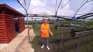 Ответы. Малообъемка, теплица для клубники? по фински.