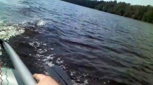 сузуки 2.5 и фрегат 280r