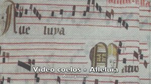 Anon. 12th-13th c: Video coelos AIleluia