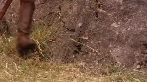 Подземелье Драконов DVDRip XviD AC3