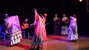 Flamenco La Conciencia, ¨Alegría¨