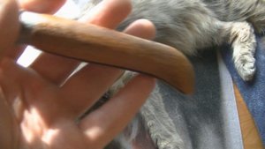 Нож Opinel из углеродки после полугода кухонной работы, стойкость травления клина и пропитки рукоят