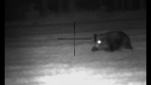 Yukon Sightline N475