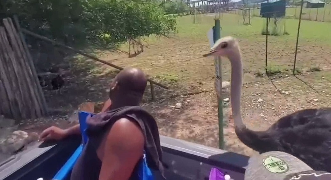 Смешные приколы Февраль 2023 #70 смотреть онлайн