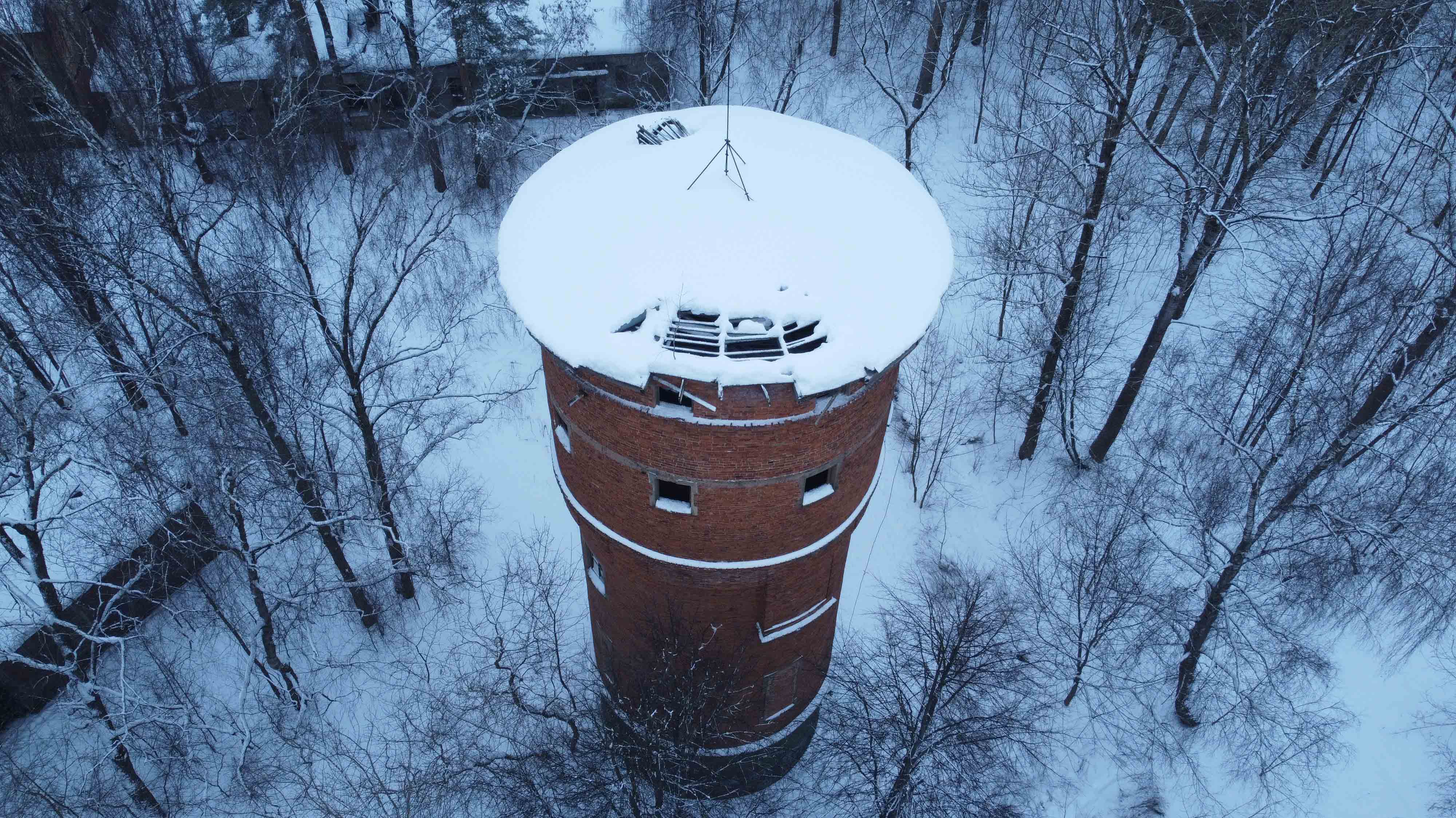 Заброшенный сад.