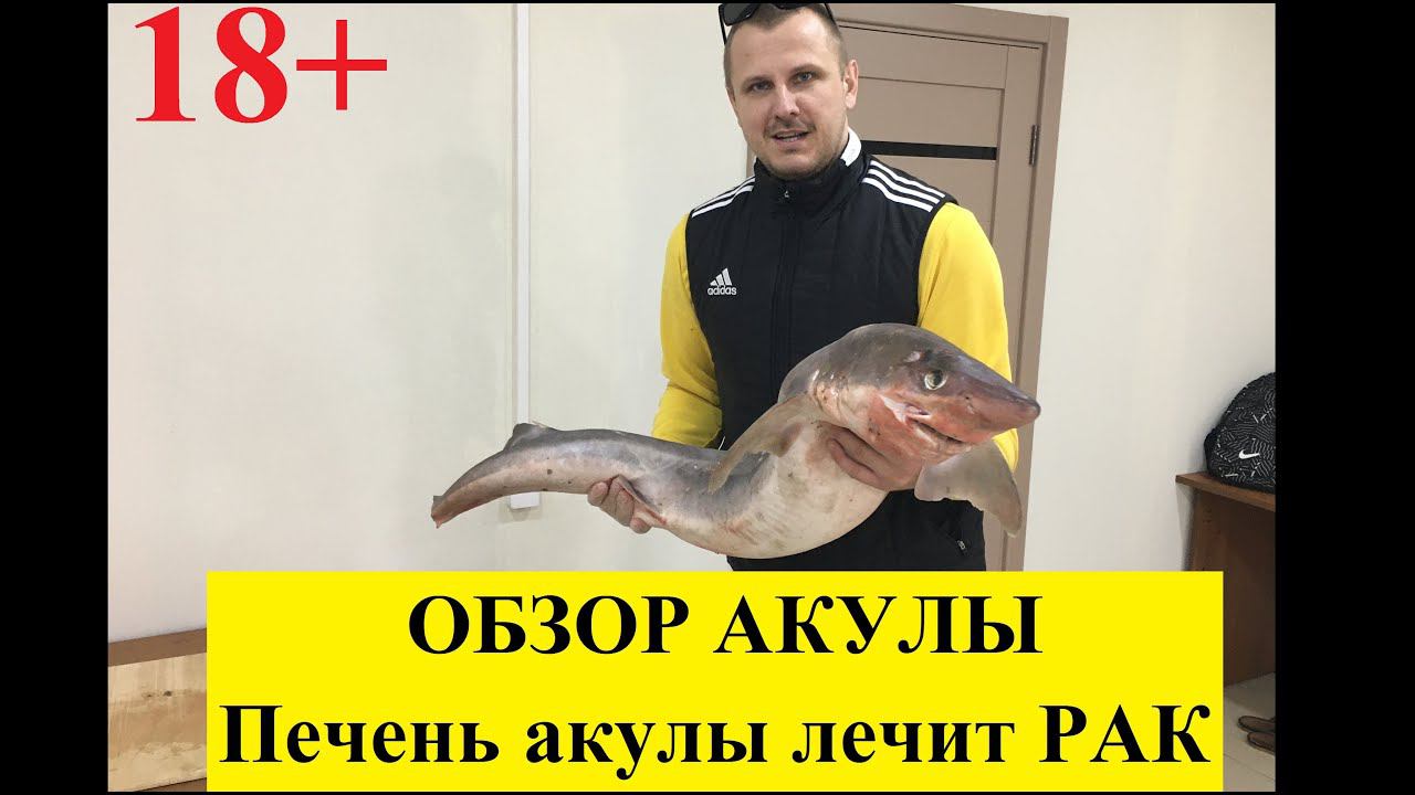 Обзор Акулы!!! Делаем сыровяленую акулу!!! Печень акулы лечит рак