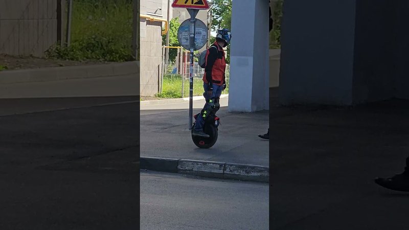 31 мая 2024 г.