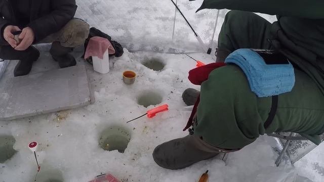 БЕШЕНЫЙ КЛЕВ НА КОРОМЫСЛО.РЫБАЛКА 2020.ЛОВЛЯ ПОДЛЕЩИКА