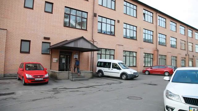 Проблема бездомных животных в Украине