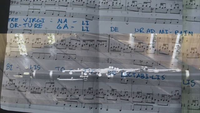 Northern Churchsounds смотреть онлайн