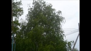 природа Саратовской области!!!!!!!!!!!!!!