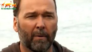 Огромный осьминог напал на дайвера  Самый большой осьминог в мире напал на дайвера ⁄ Amazing Animal