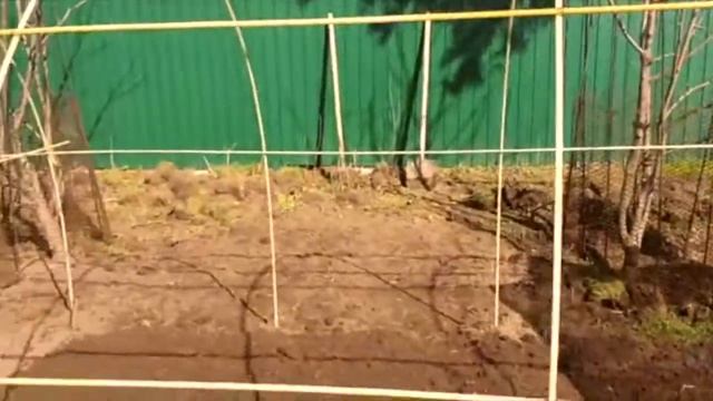 Как сделать бюджетную теплицу своими руками из стеклопластиковой арматуры