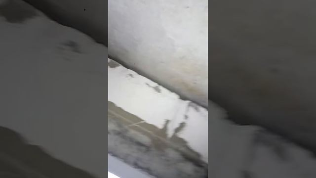 дальпитерстрой