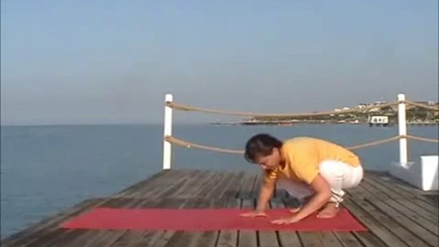 Бакасана смотреть онлайн