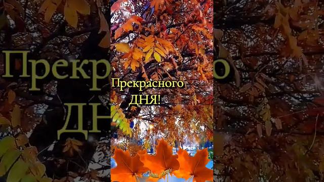 С ДОБРЫМ УТРОМ! #открытки #пожелания #сдобрымутром #отдуши