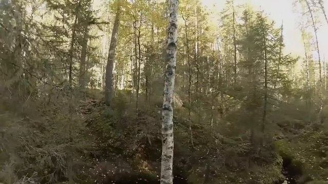 Первый запуск печки буржуйки.Печь экономка. Подшивка потолка Изолоном.