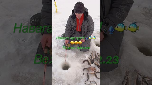 ✅ НАВАГА ДОЛБИТ😃🎣🐠🐠🐠 Вежма. Унская губа 11.02 #Рыболов_Севера #рыбалканасевере #корюшка