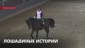 Лошадиные истории: о школе олимпийского резерва по конному спорту в деревне Токкари