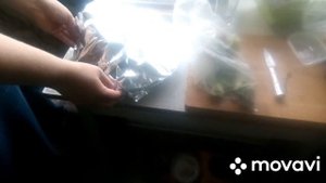 БУЖЕНИНА ИЗ БЕДРА ИНДЕЙКИ с коррекцией от сына