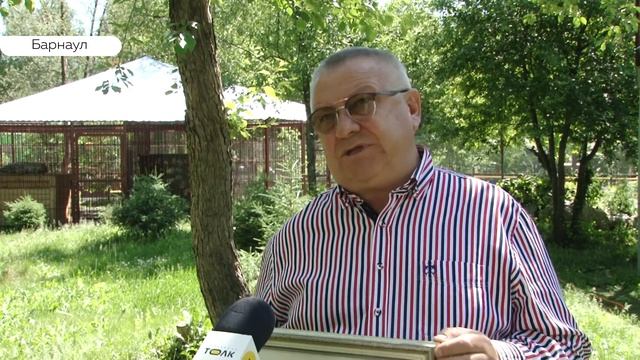 Тигрят из барнаульского зоопарка могут подарить известным дрессировщикам смотреть онлайн