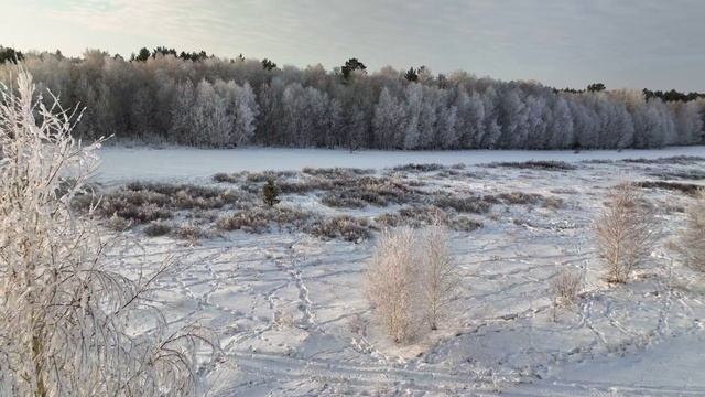 Акколь - Зимний лес - Рассвет