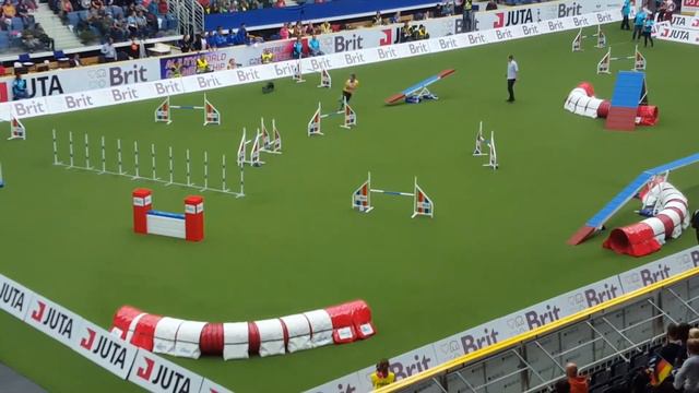 AWC 2017 NEELA Jouni Orenius Agility Large Individual, Liberec