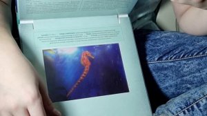 Фотикулярная книга Океан