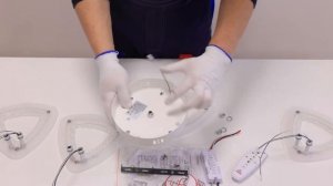 Инструкция по сборке потолочного светильника Lazo 20900-4, Schaffner