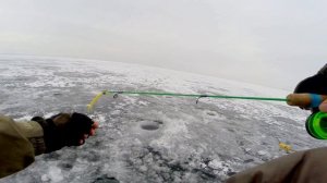 Зимняя рыбалка на судака. Что лучше: блесна или балансир? Ловля хищника при -20°C