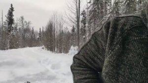 Сайга 12 с ДТК Точка 76 и цевье Ёрш-У