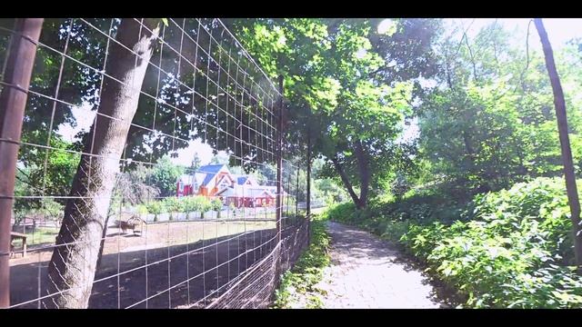 Царь-Град