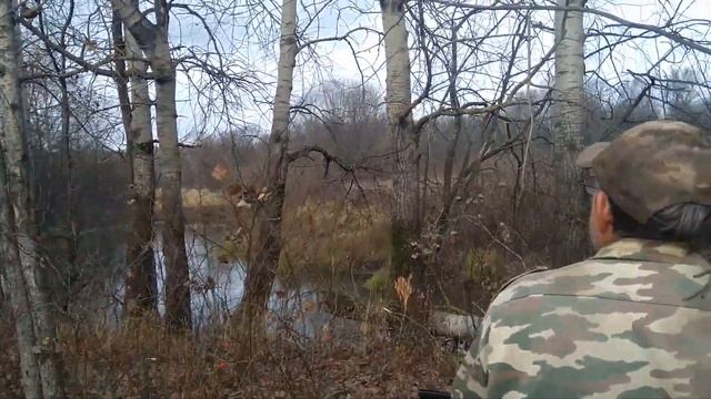 Охота на утку. Бобры всё расшугали. Ласка маленькое и хищное существо. смотреть онлайн