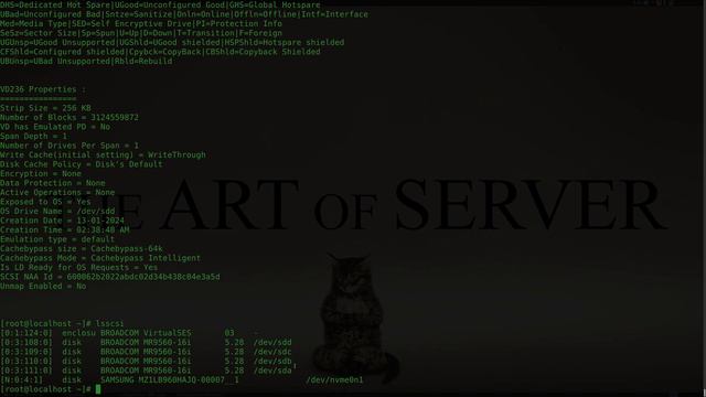 How to use storcli RAID commands | Broadcom LSI Tutorial смотреть онлайн