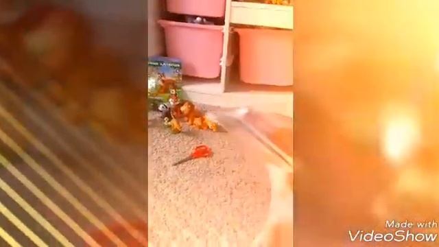 Распаковка DeAgostini Животные саванны смотреть онлайн