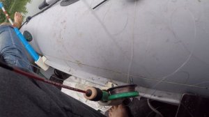 Ловля огромной тарани . Рыбалка на днепре на кольцо в раене г  Каменского .