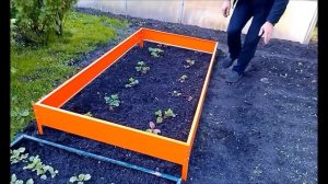 Оцинкованные грядки с полимерным покрытием. Сибгрядки.рф