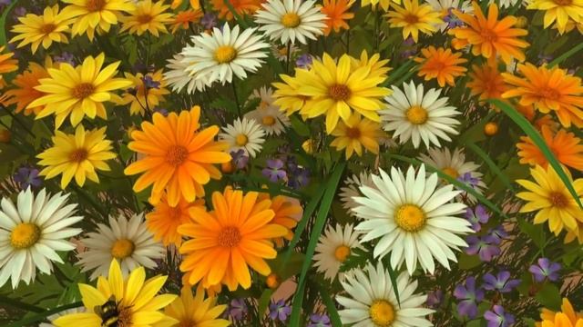 Поздравления песня на 8 Марта 2019 с женским Днём прикольное поздравление смотреть онлайн