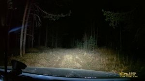 Светодиодная балка от Ежика. Испытания в лесу.