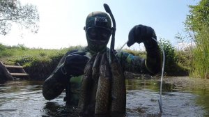 Подводная охота как она есть без прикрас