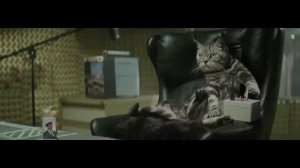 «Cravendale» / "Catnapped TV" / видео реклама молока