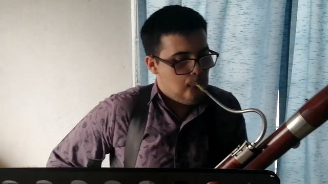 Vivaldi bassoon concerto in e minor 3rd movement смотреть онлайн