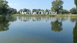 Парк отдыха ЧИСТЫЕ ПРУДЫ город ЛАБИНСК, август 2024 год Краснодарский край КУБАНЬ. Живите в Кайф!