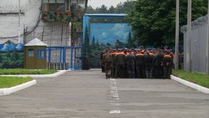 Чем заканчиваются истории начинающих закладчиков