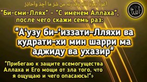 ✅ ДУА от Любой Боли и Болезней на Теле Человека.Положи руку и Читай молитву поможет Ин Ща АЛЛАХ!!!