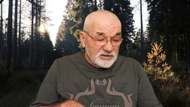 Воспитание щенка лайки для охоты Западно-сибирская лайка