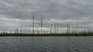 С дядей Толей по Арге, хорошо в Тайге! Часть 4.8