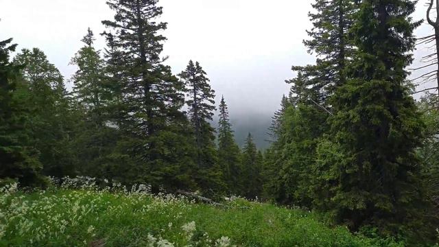 Хребет Зюраткуль. Путешествие по Южному Уралу.